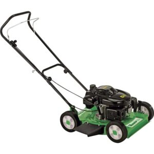 Cortador De Grama a Gasolina 6.5HP 4T LF-600G - Trapp